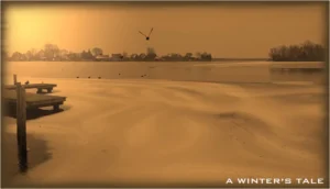 A Winter's Tale - VideoStill © photography & design by Rob Koning