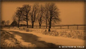 A Winter's Tale - VideoStill © photography & design by Rob Koning