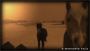 A Winter's Tale - VideoStill © photography & design by Rob Koning