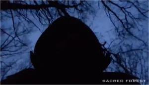 Sacred Forest - VideoStill © design by Rob Koning