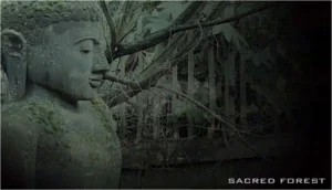 Sacred Forest - VideoStill © design by Rob Koning