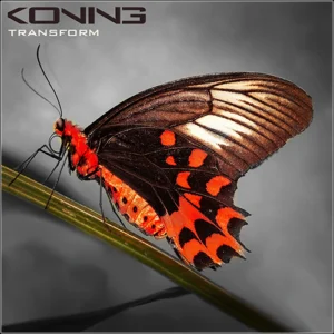 Transform - CD hoes voorkant © design by Rob Koning