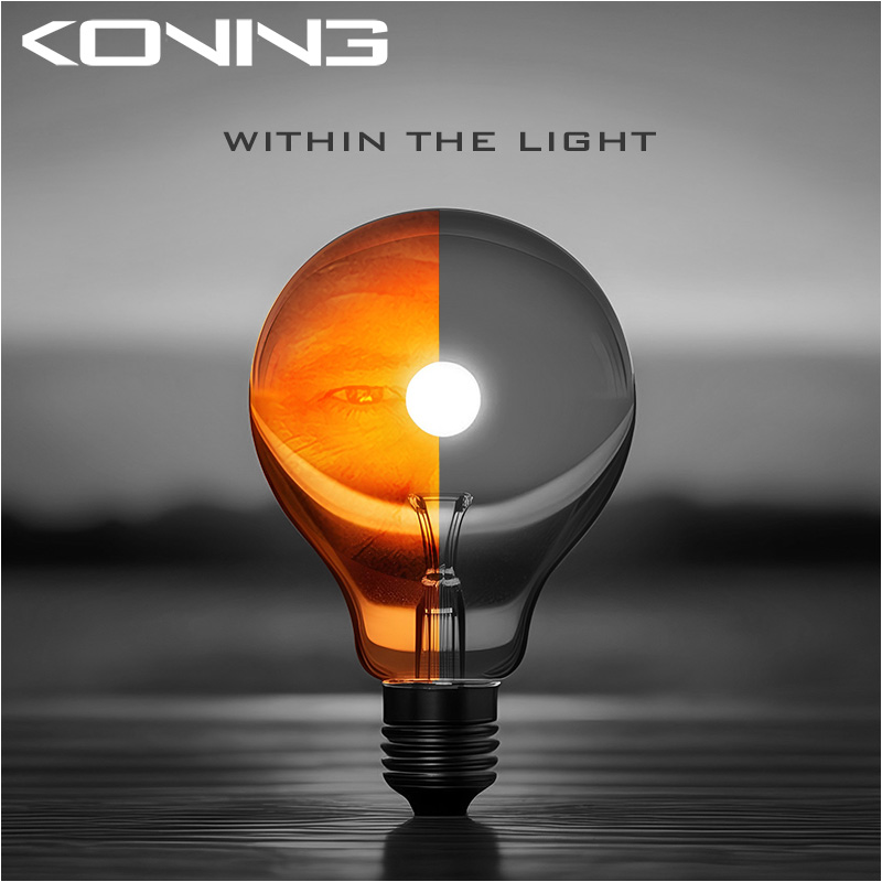 WITHIN THE LIGHT - KONING