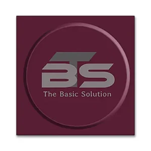Logo ontwerp THE BASIC SOLUTION © designed by robkoning.nl