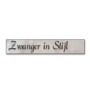 Logo ontwerp ZWANGER IN STIJL © designed by robkoning.nl