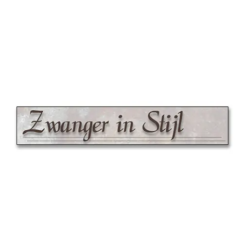 Logo ontwerp ZWANGER IN STIJL © designed by robkoning.nl